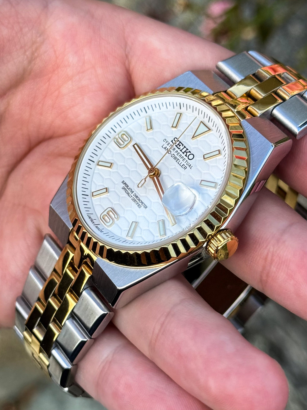 Two Tone White Dial Land-Dweller