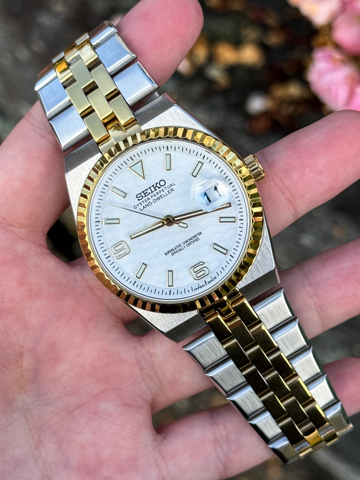Two Tone White Dial Land-Dweller