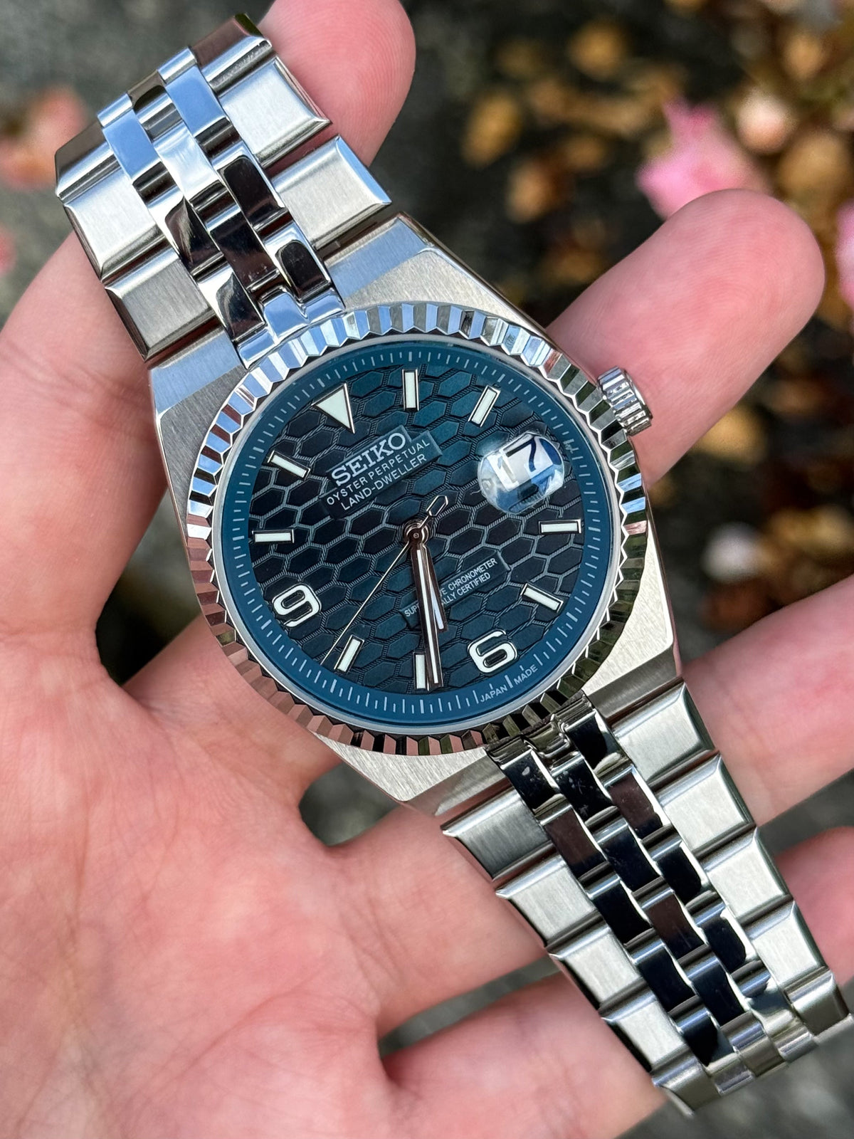 Blue Dial Land-Dweller