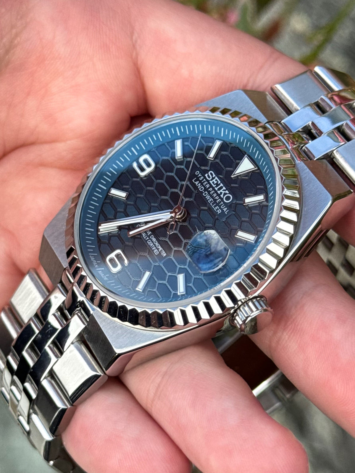 Blue Dial Land-Dweller