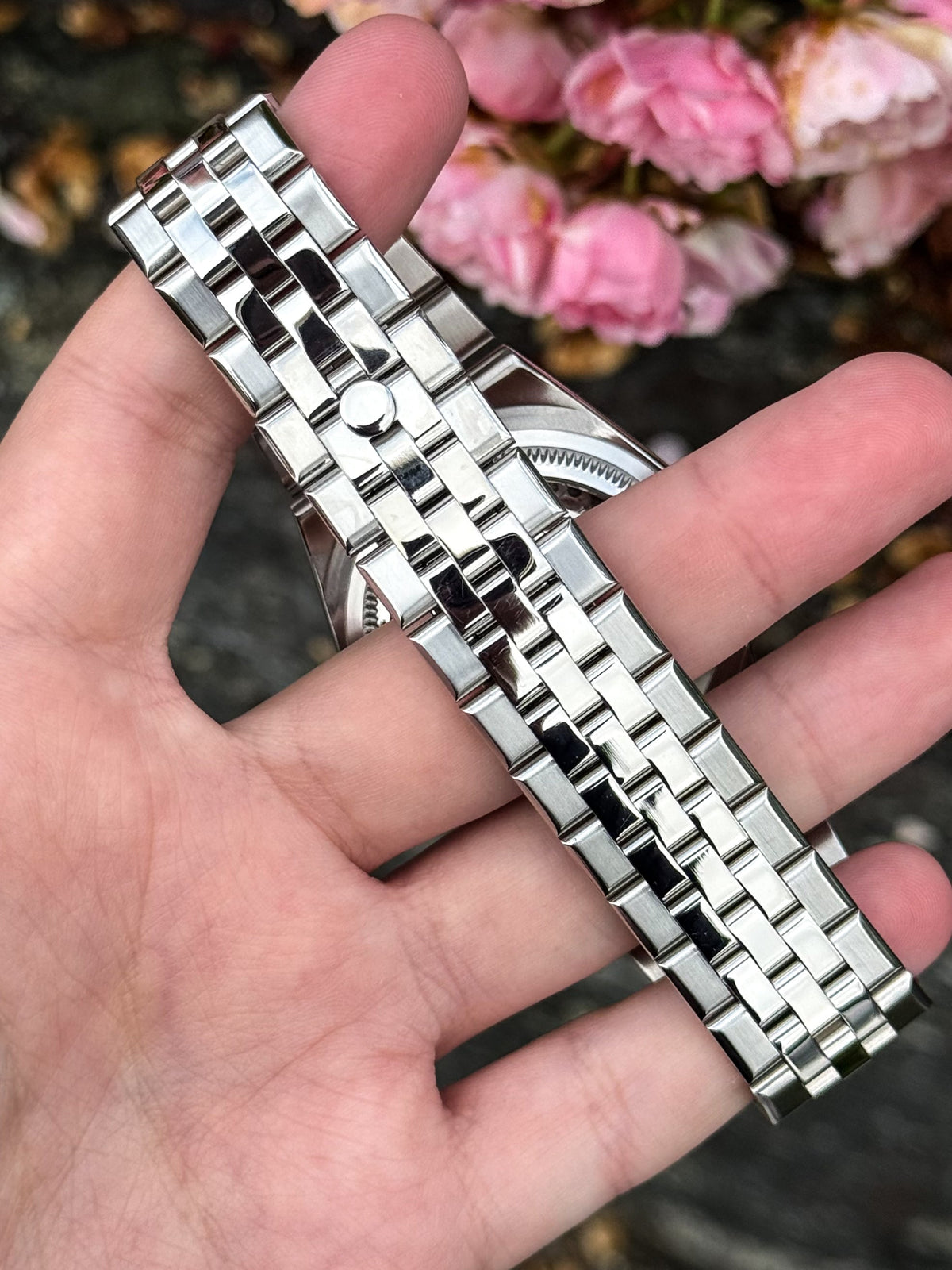 Silver Dial Land-Dweller